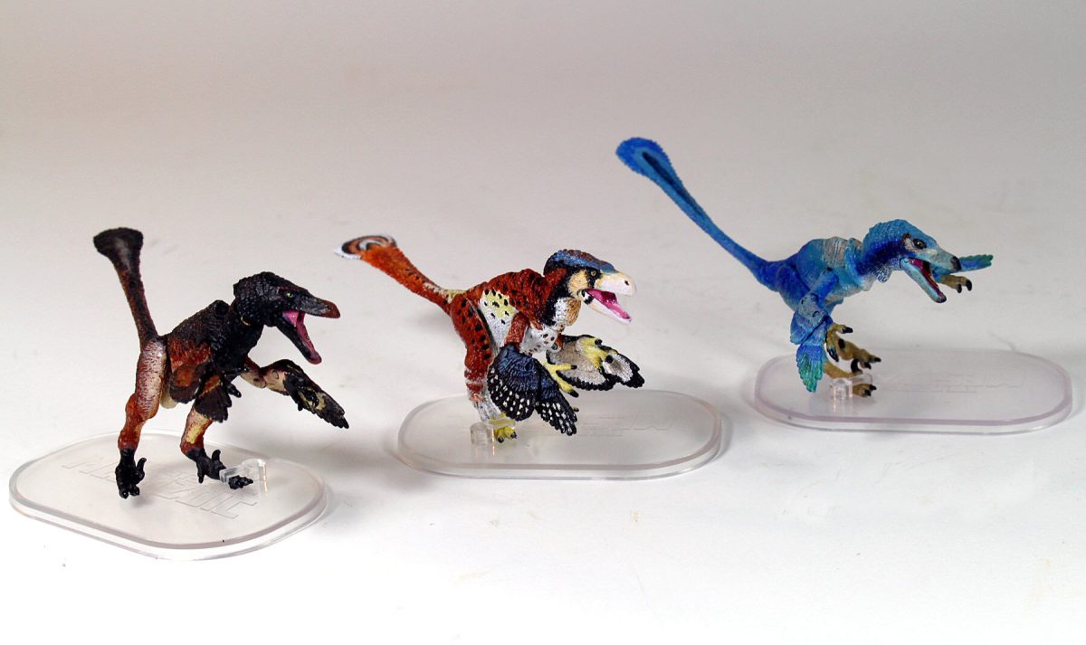 preorder-small-scale2