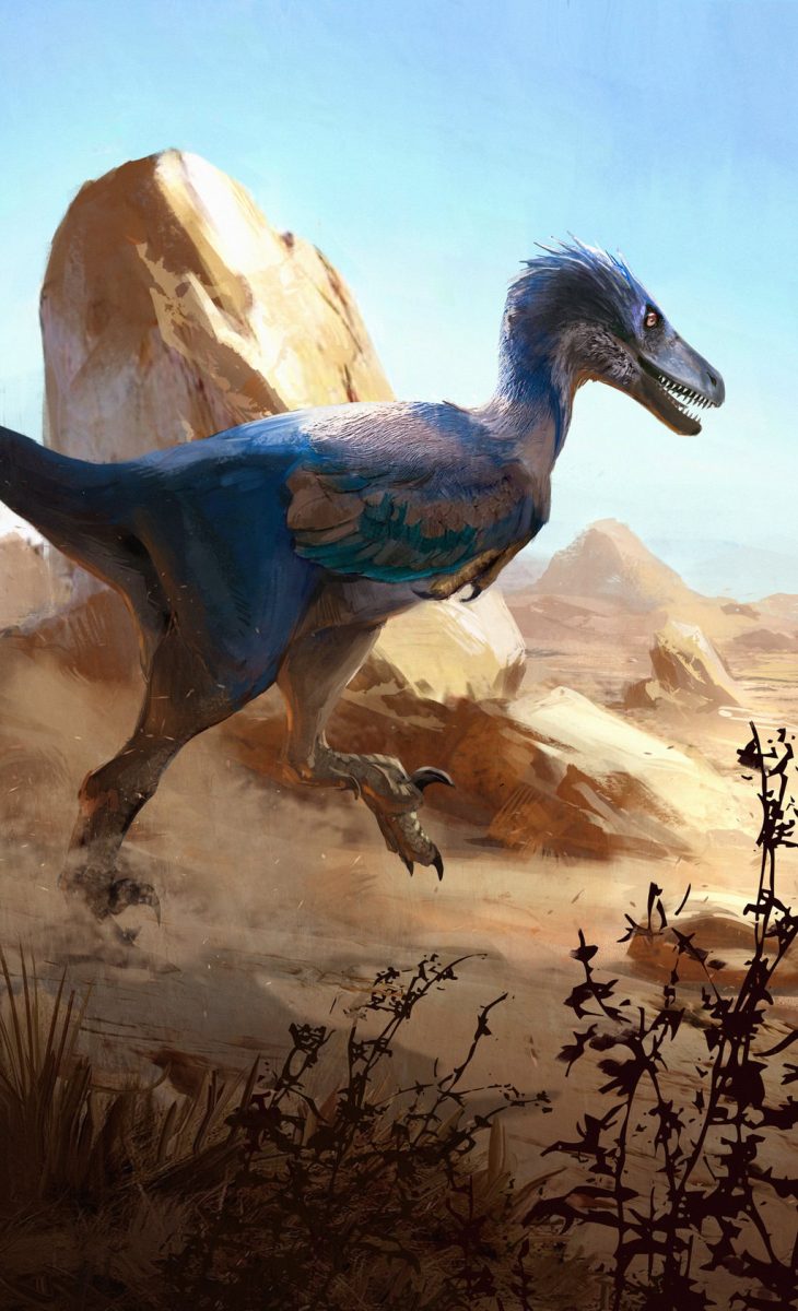 velociraptor osmolskae blue w