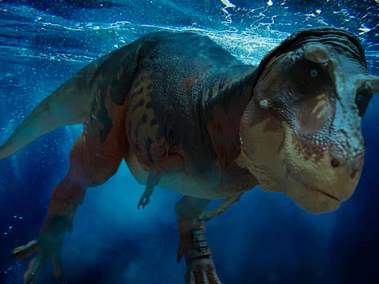 Wesley Dinosaur Photography