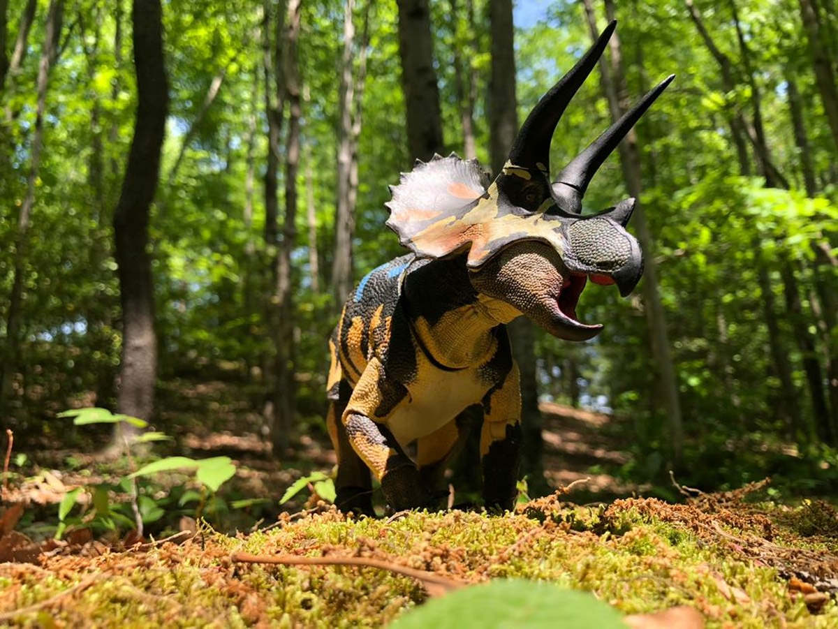 prehistoric_lad_fan_photo1