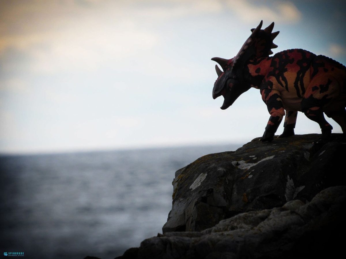 spinodudefanshots2