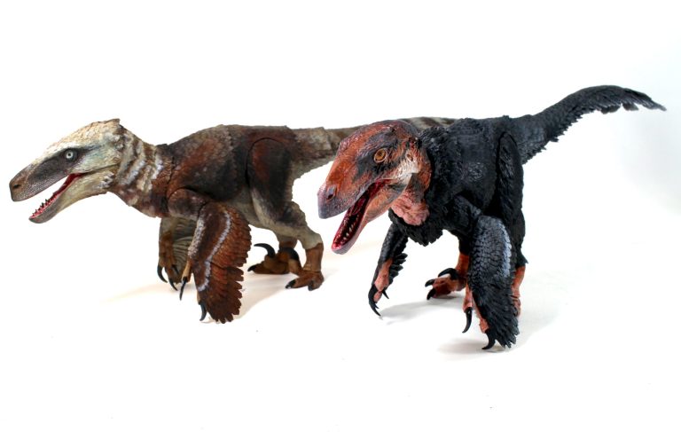 Utahraptor and Achilloraptor