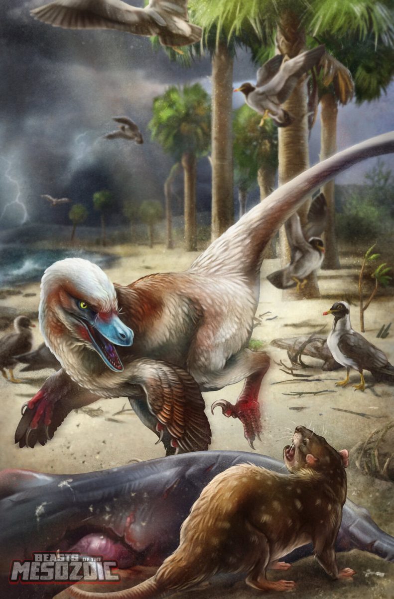 Acheroraptor-package-art