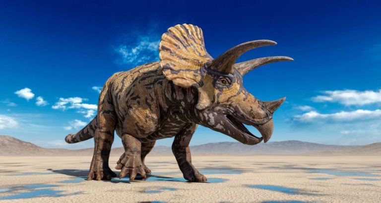 A Look at Herbivorous Dinosaur Defense Mechanisms