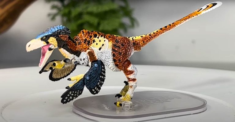 Beasts of the Mesozoic 1/18th scale Dromaeosaurus Fans Choice by Dino Scream Reviews