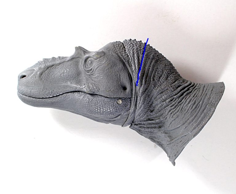 Fine cut head for Albertosaurus