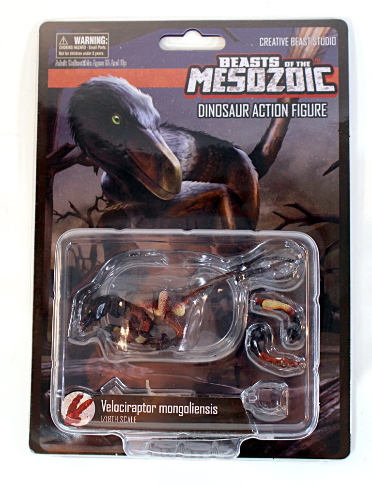Beasts of the Mesozoic Raptors Velociraptor