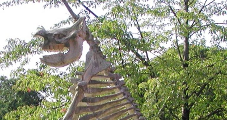 Meet the Magdeburg Unicorn and Its Funny Story Meet the Magdeburg Unicorn and Its Funny Story