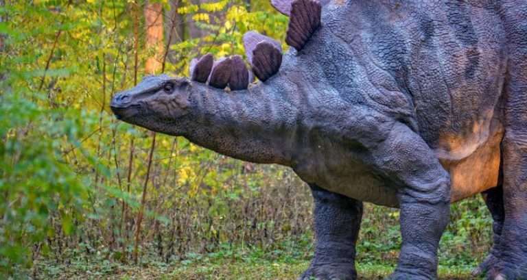 The Three Periods of the Mesozoic Era and Their Differences
