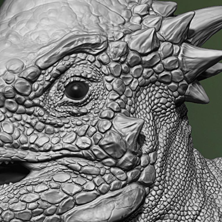 Thick headed lizard dinosaur