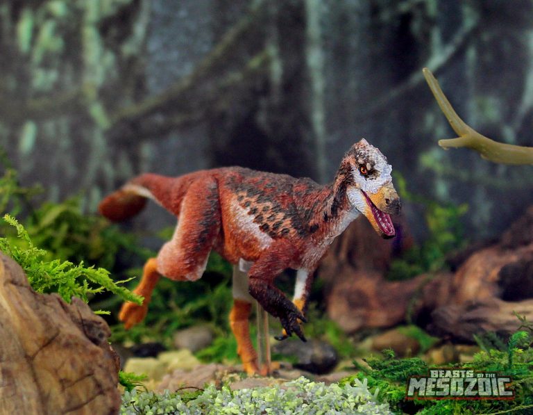 catalog shot for the Dawn Tyrant, Eotyrannus lengi!