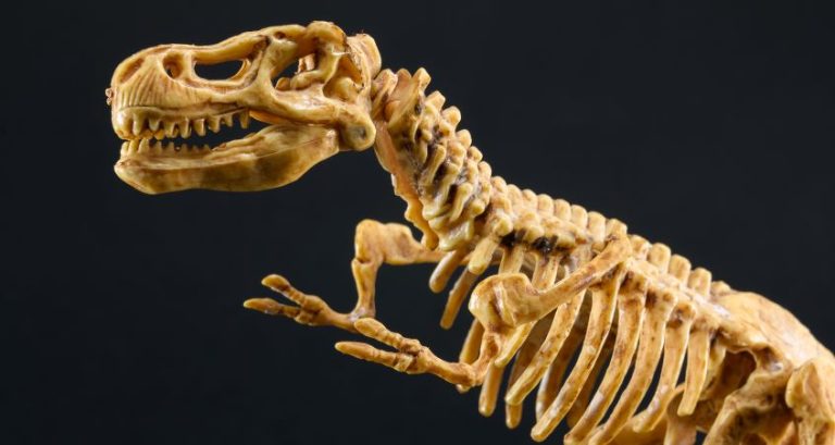 How Mammals Lived Alongside Dinosaurs in the Mesozoic Era