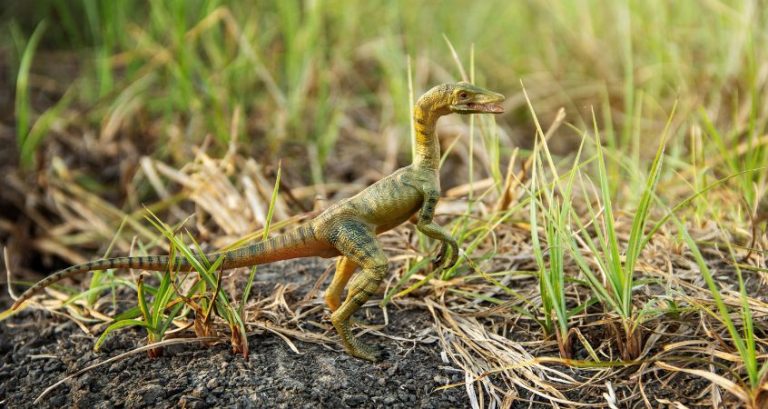 3 Dominant Dinosaurs of the Triassic Period