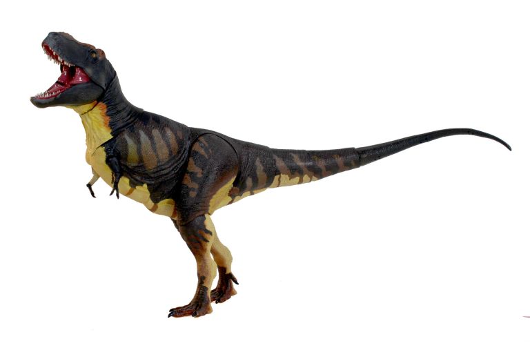 Tarbosaurus bataar paint sample
