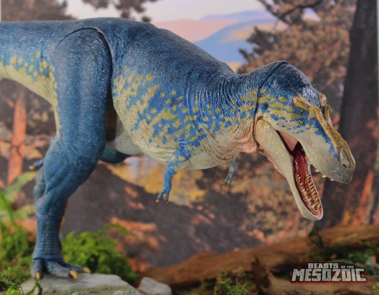Gorgosaurus libratus catalog shot!