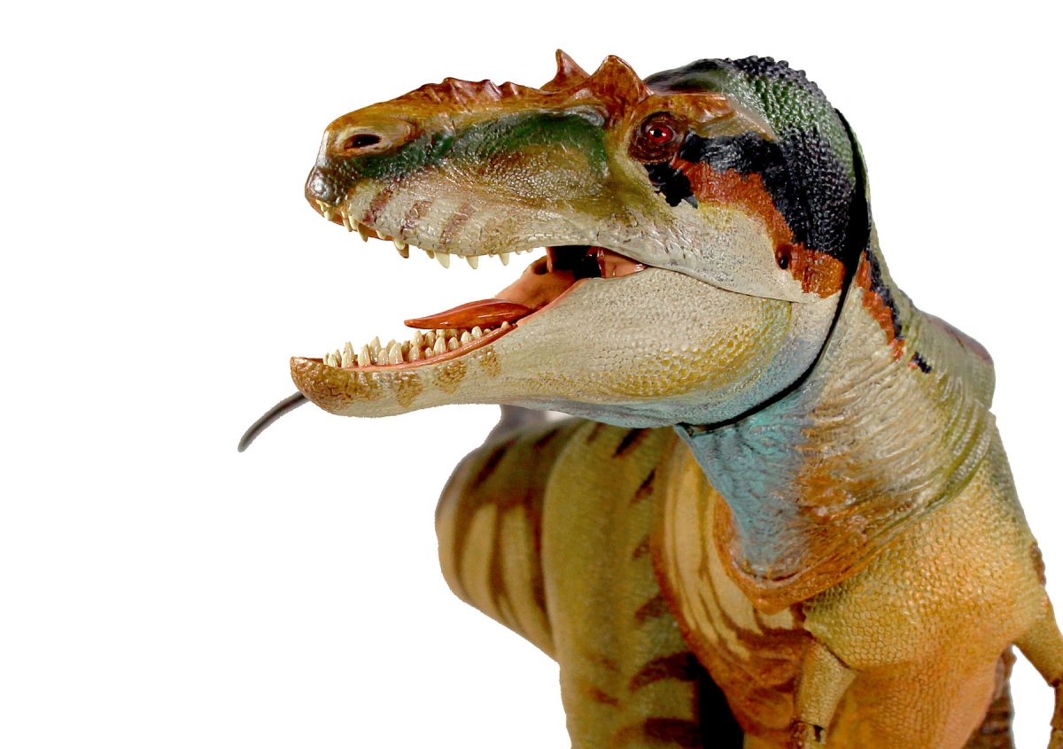Albertosaurus sarcophagus final paint sample10