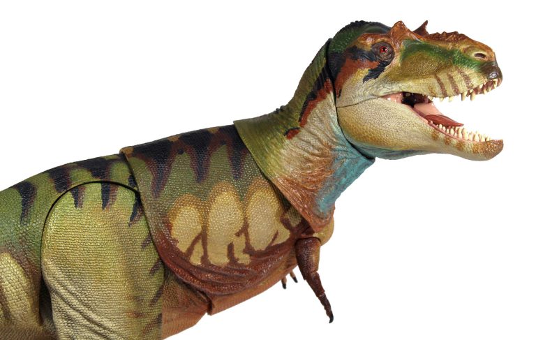 Albertosaurus sarcophagus final paint sample