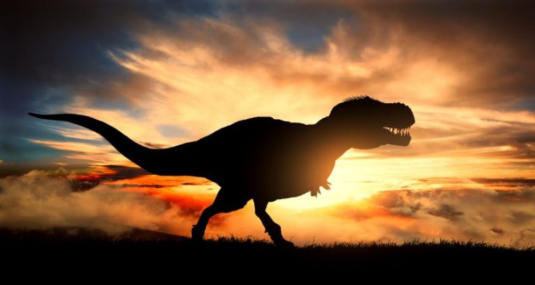 Fact or Fiction? The Tyrannosaurus rex Was a Speed Demon