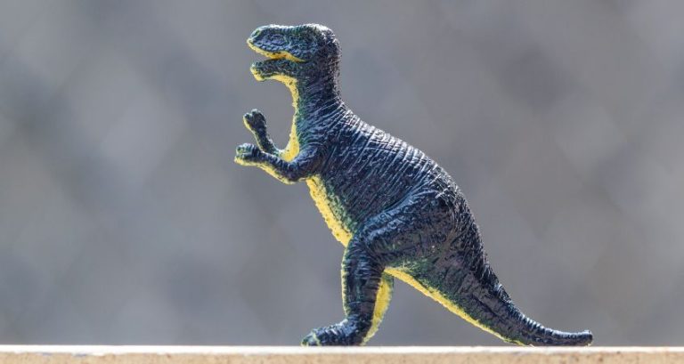 Why on Earth Did T. Rex Even Have Those Tiny Arms?