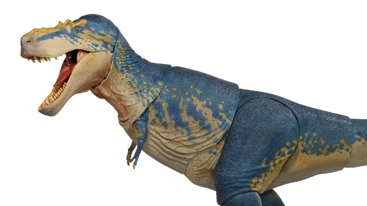Gorgosaurus libratus12