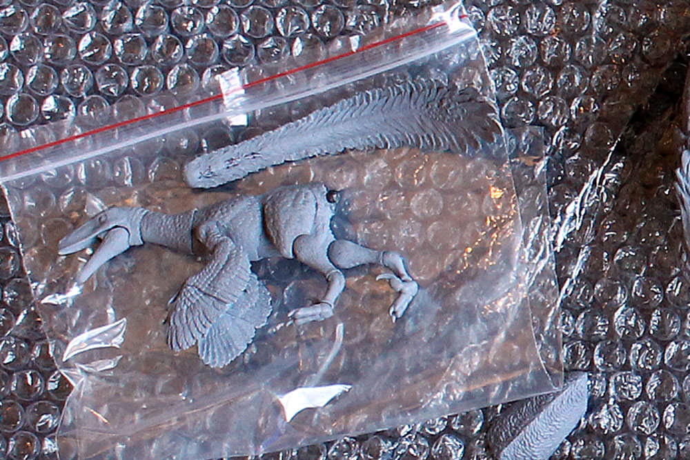 cyberzoic_fine_cut6