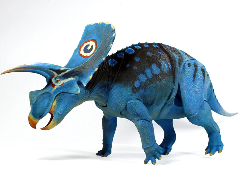 Torosaurus latus