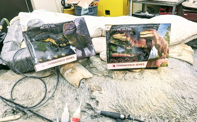 Dickinson Museum Center takes at look at Daspletosaurus & Tarbosaurus