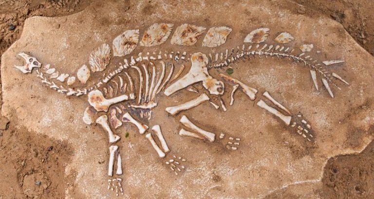 Which Herbivore Dinosaurs Were the Most Dangerous?