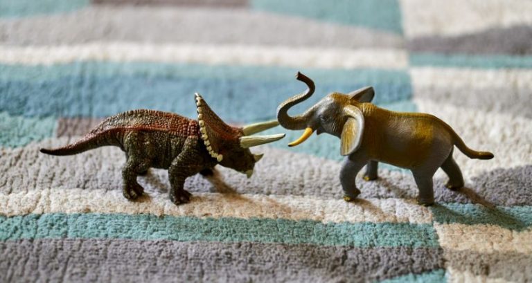 Did Ceratopsian Dinosaurs Behave Similar to Elephants?