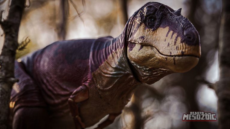 Daspletosaurus torosus photos by nutty_bakaz