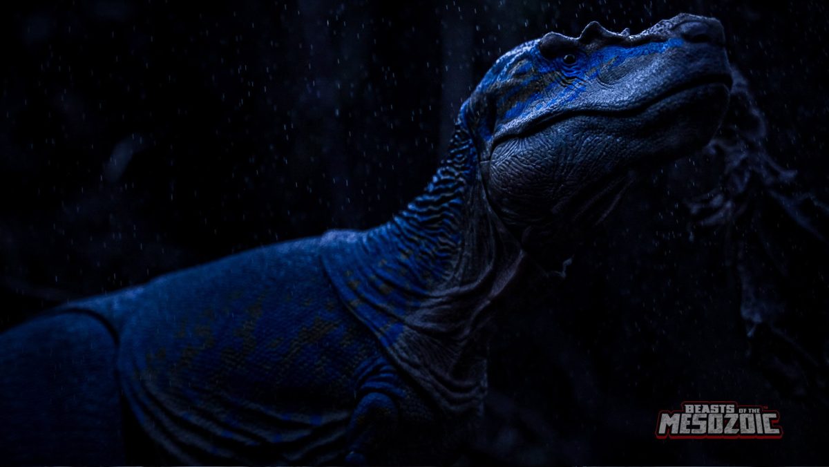 Gorgosaurus10