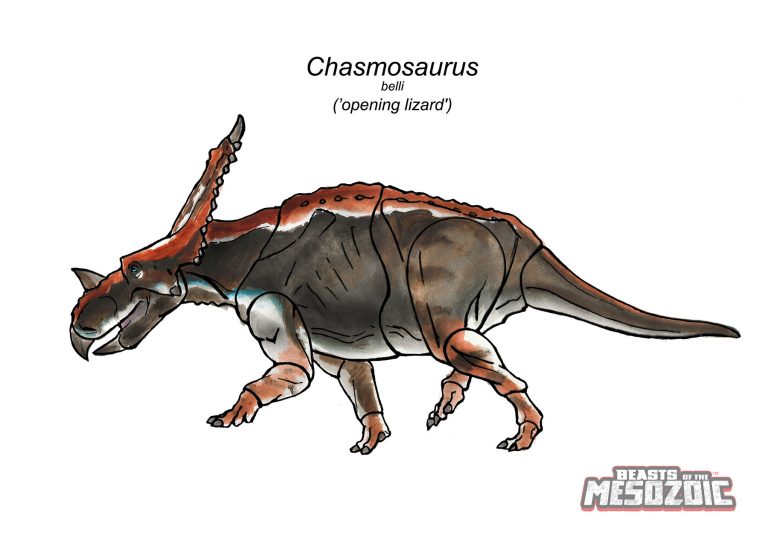 New Color Designs for Zuniceratops and Chasmosaurus revealed - Welcome ...