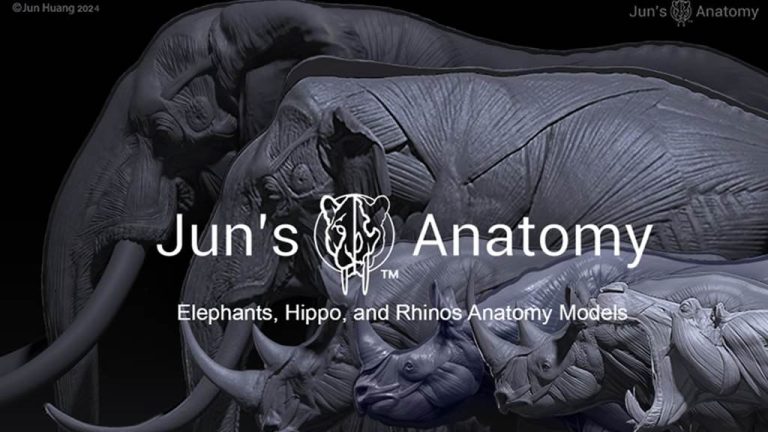 Jun’s Anatomy Kickstarter Live now!