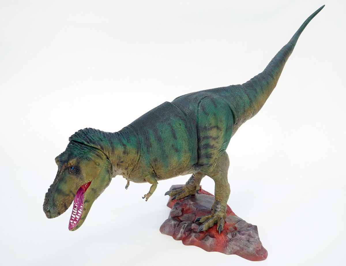 trex_custom8