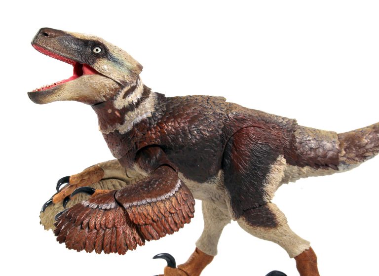 Utahraptor ostrommaysi paint sample close-up