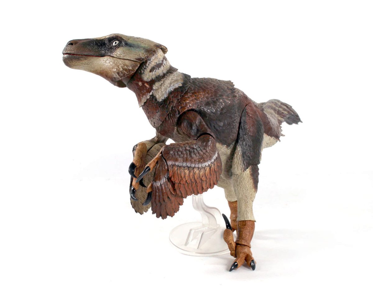 Utahraptor12