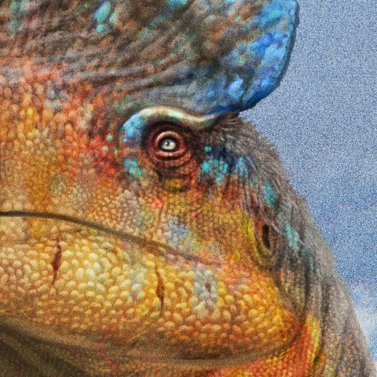 Dilophosaurus wetherilli package art by Gabriel Ugueto