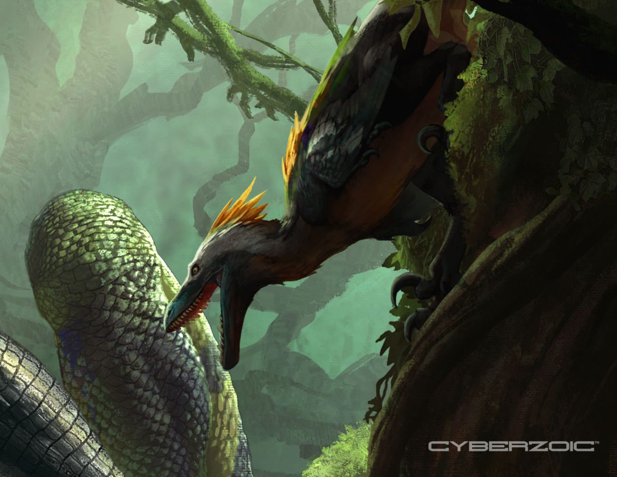 lizard_dragon_package_art4