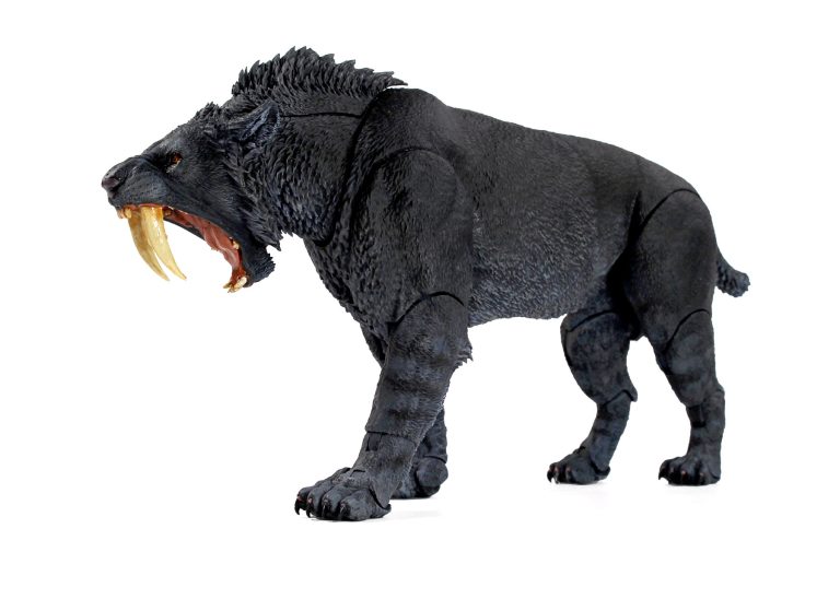 New Smilodon populator photo gallery