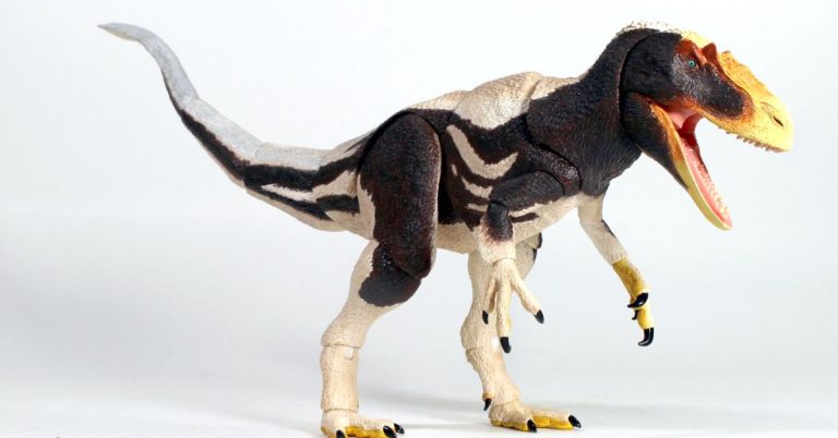 Feathers, Flights, & the Evolution of Birds From Dinosaurs