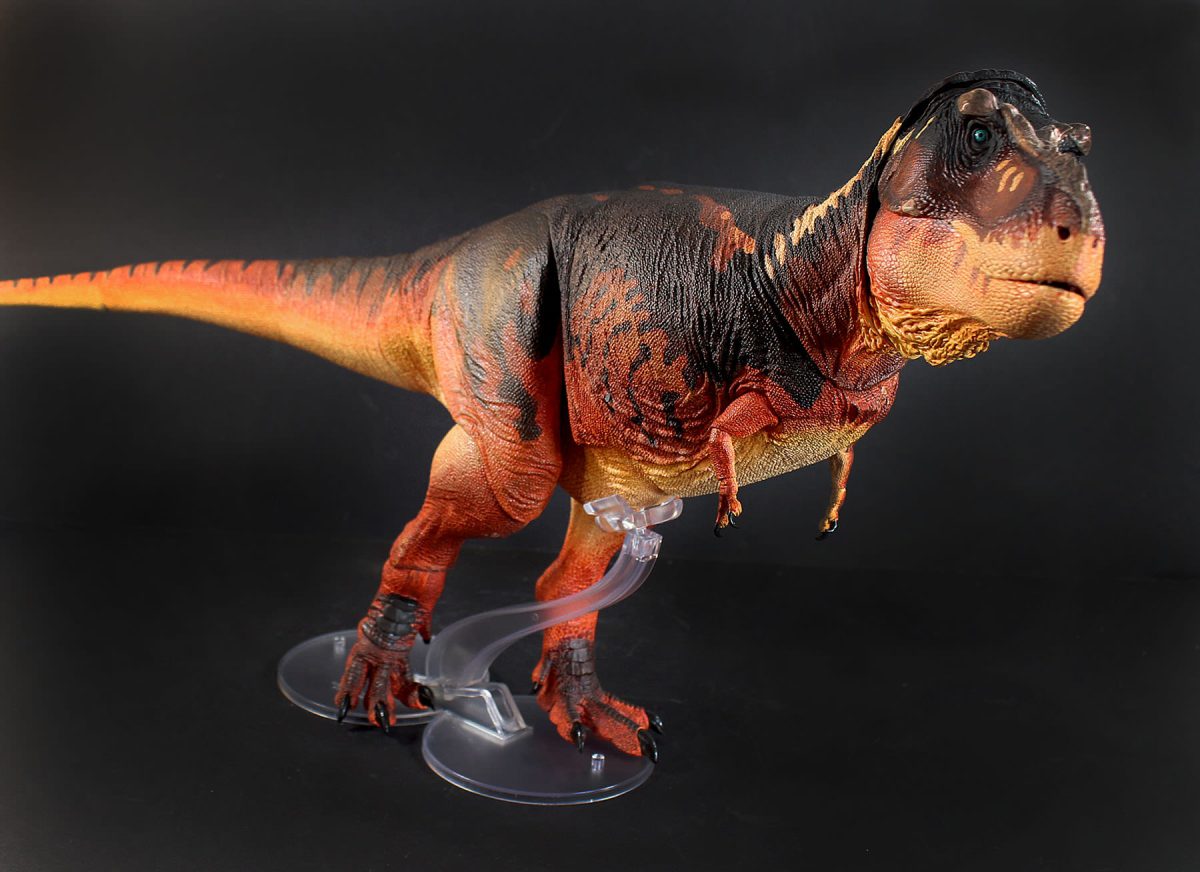 display-stands14