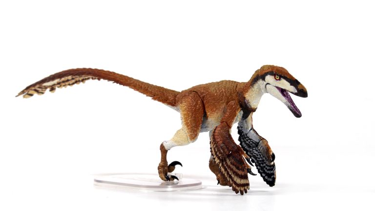Deinonychus antirrhopus painted prototype