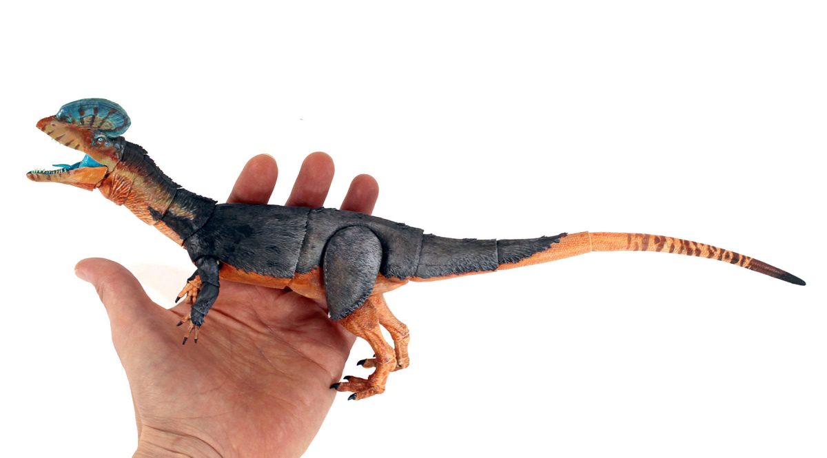 Dilophosaurus9