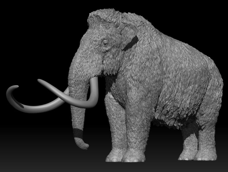 adult Wooly Mammoth sculpt first look!