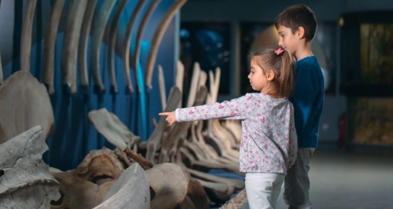 3 Discoveries That Helped Us Understand Dinosaurs 3 Discoveries That Helped Us Understand Dinosaurs