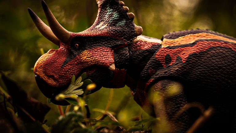 Diabloceratops eatoni photos by nutty_bakaz