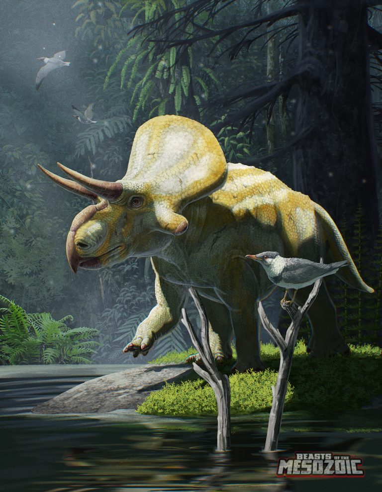 albino Zuniceratops package art by Gabriel Ugueto