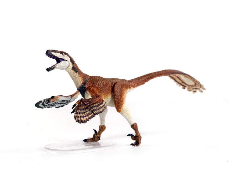 Posing the Deinonychus production sample