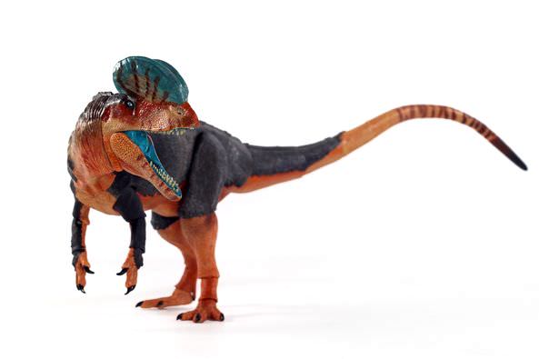Shipping Update & Production Sample Dilophosaurus