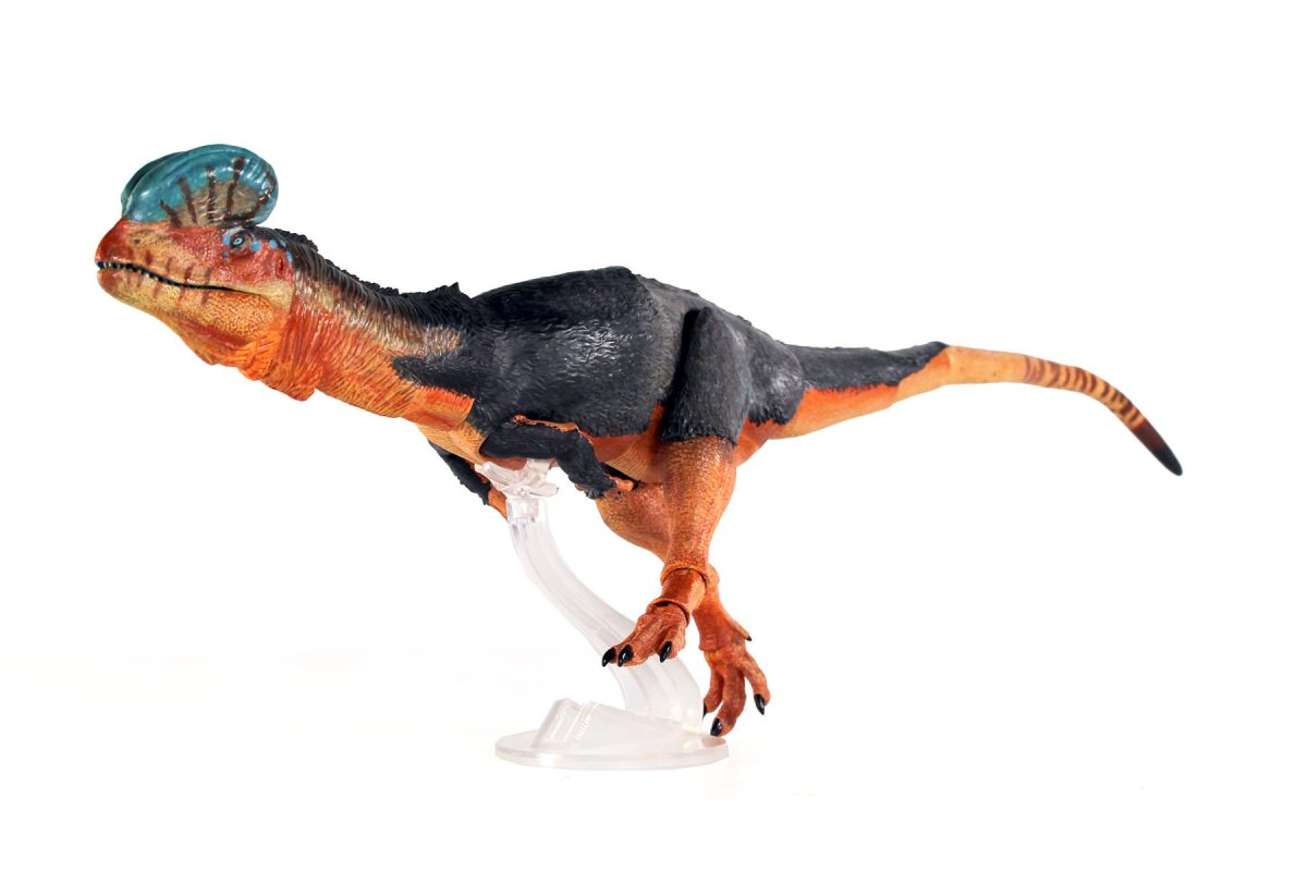 Dilophosaurus-prod-sample12